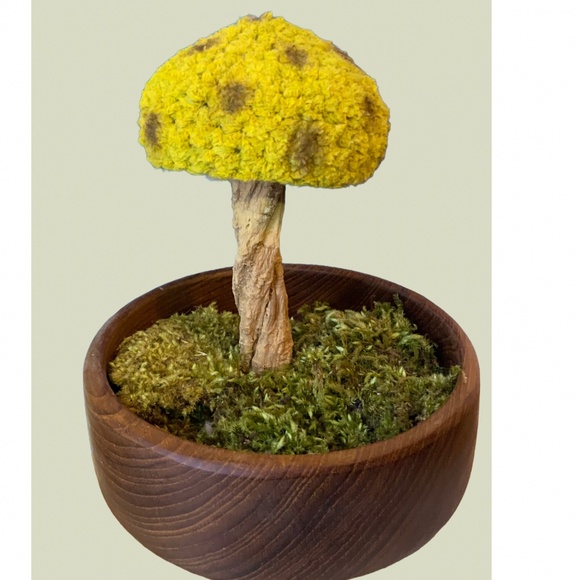 MNK Studio Other - Mushroom “Augusta Maculata”. Mixed media, handmade. Signed MNK